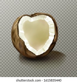 Realistic coconut, highly detailed empty cracked coco nut piece with white flesh and peel isolated on transparent background. Fresh product for healthy vegetarian nutrition. 3d vector illustration