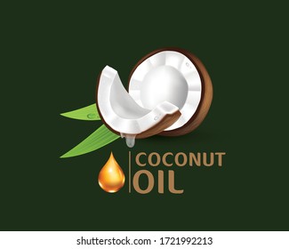Realistic coconut organic milk ,oil and green palm leaves Vector illustration