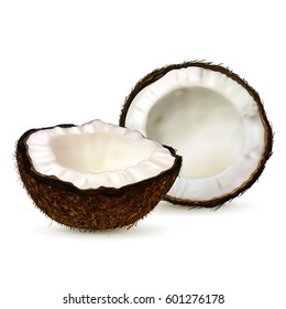 Realistic coconut, two halves of coco on white background. Vector.