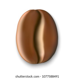  realistic coffee bean isolated