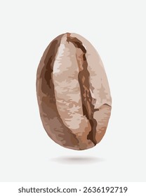 Realistic coffee bean seed. Big coffee bean grain on a white background. Vector illustration.