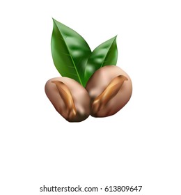 Realistic coffee beans and green coffee leafs with shadow isolated on white background.