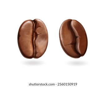 Realistic coffee beans isolated 3d. Arabica grain, Robusta dark beans. Brown seed icon for espresso in cafe menu and coffee drinks. Cappuccino drink symbol. Vector illustration.