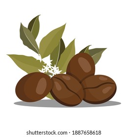 Realistic coffee beans and leaves. Vector illustration on white background