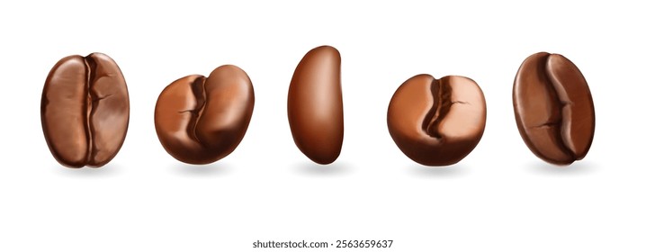 Realistic coffee beans set, 3D. Arabica robusta dark coffee bean collection for advertising delicious coffee, cafe, and coffee drinks. Vector illustration.