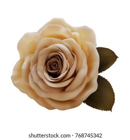 Realistic coffee rose, Queen of beauty.