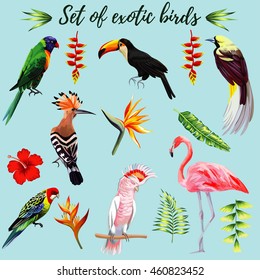 Realistic collection of beautiful exotic tropical birds vector macaw, parrot, pink flamingo, toucan, udot, hoopoe. On a blue background with leaves of palm banana, Strelitzia, hibiscus flower.