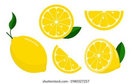 Realistic collection of juicy lemon pieces. Various part of lemon for cool refreshing drink. Flat cartoon vector illustration concept design online web banner isolated on white background