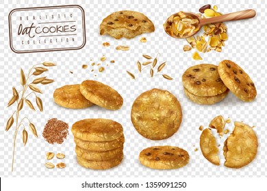 Realistic collection of oat cookies whole and halves isolated on transparent background  vector illustration