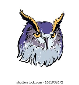 Realistic color drawing of an owl's head. For coloring. Vector illustration.