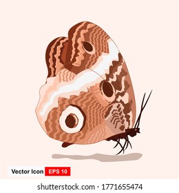 Realistic colored butterflies are isolated for spring against a white background. Editable vector illustration.