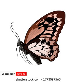 Realistic colored butterflies are isolated for spring against a white background. Editable vector illustration.