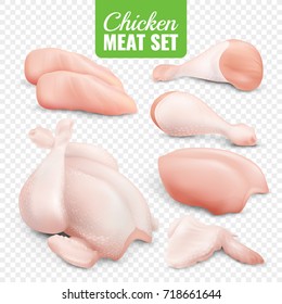 Realistic colored chicken meat transparent icon set with fresh pieces of chicken vector illustration