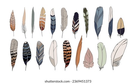 Realistic colored feathers set. Vector illustration.