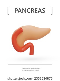 Realistic colored pancreas. Anatomically correct human internal organ. Vertical poster on white background. Place for accompanying text. Vector concept for web design