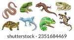 Realistic and colored reptiles amphibians animal icon set with snakes frogs lizards turtles vector illustration