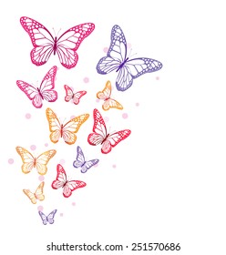 Realistic Colorful Butterflies Isolated for Spring. Editable Vector Illustration