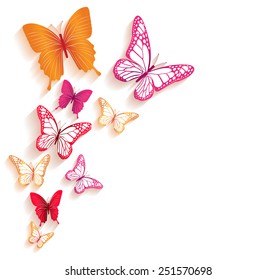 Realistic Colorful Butterflies Isolated for Spring. Editable Vector Illustration