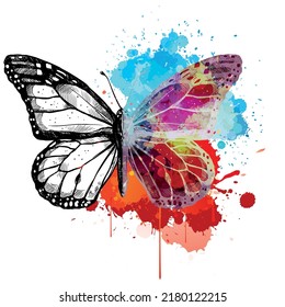 Realistic Colorful Butterfly Vector Illustration