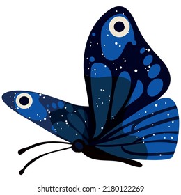 Realistic Colorful Butterfly Vector Illustration