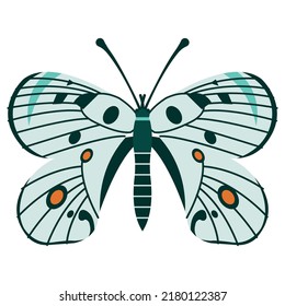 Realistic Colorful Butterfly Vector Illustration