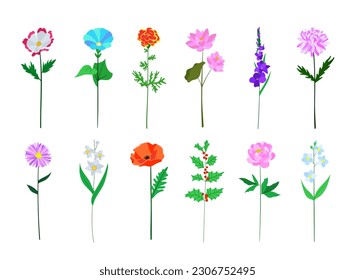 Realistic colorful flat flower set  Perfect for illustrations   biology education 