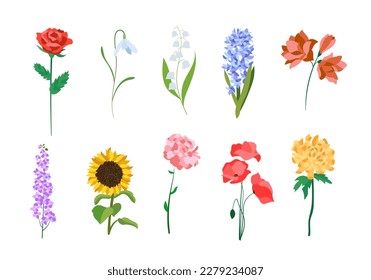 Realistic colorful flat flowers. Perfect for illustrations and nature education.