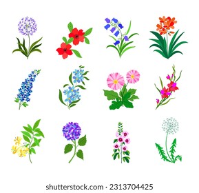 Realistic colorful flat flowers