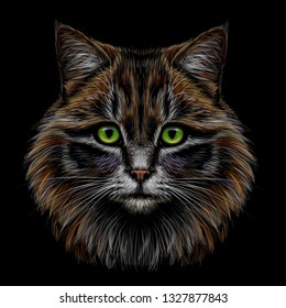 Realistic, colorful, hand-drawn, portrait of a cat looking forward on a black background.