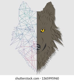 Realistic and colorful polygonal wolf face Vector- Wolf face-Vector
