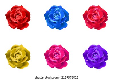 Conjunto de flores de rosa de color realista