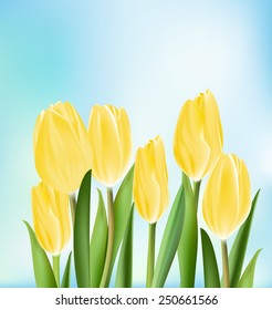 Realistic Colorful Tulips in Isolated Background. Editable Vector Illustration