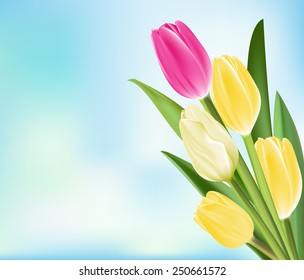 Realistic Colorful Tulips in Isolated Background. Editable Vector Illustration