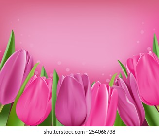 Realistic Colorful Tulips in Isolated Background. Editable Vector Illustration