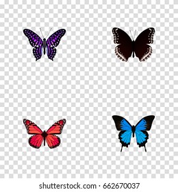 Realistic Common Blue, Azure Peacock, Spicebush And Other Vector Elements. Set Of Beauty Realistic Symbols Also Includes Butterfly, Pink, Black Objects.