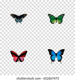 Realistic Common Blue, Callicore Cynosura, Birdwing And Other Vector Elements. Set Of Beauty Realistic Symbols Also Includes Green, Cypris, Moth Objects.