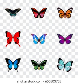 Realistic Common Blue, Morpho Hecuba, Monarch And Other Vector Elements. Set Of Beauty Realistic Symbols Also Includes Bluewing, Green, Sky Objects.