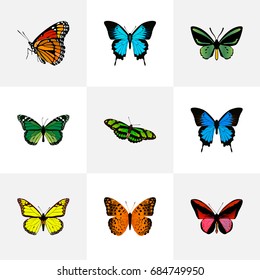 Realistic Common Blue, Papilio Ulysses, Danaus Plexippus And Other Vector Elements. Set Of Beauty Realistic Symbols Also Includes Bluewing, Malachite, Green Objects.