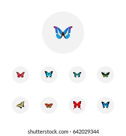 Realistic Common Blue, Pipevine, Checkerspot And Other Vector Elements. Set Of Beauty Realistic Symbols Also Includes Peacock, Morpho, Red Objects.