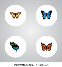 Realistic Common Blue, Tiger Swallowtail, Monarch And Other Vector Elements. Set Of Beautiful Realistic Symbols Also Includes Cypris, Tiger, Butterfly Objects.