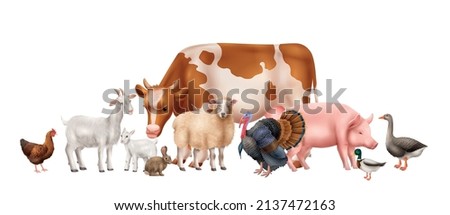 Realistic composition with cute domestic farm animals and birds on white background vector illustration
