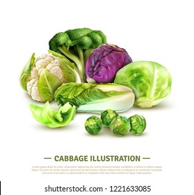 Realistic composition with white cabbage and scotch kale heads chinese leaves brussels sprouts broccoli and cauliflower vector illustration