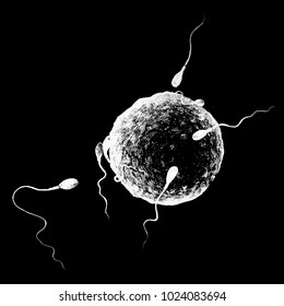 A realistic concept illustration of sperm cells swimming towards a human egg.