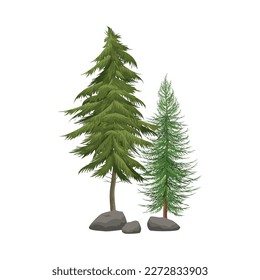Realistic coniferous trees with stones vector illustration