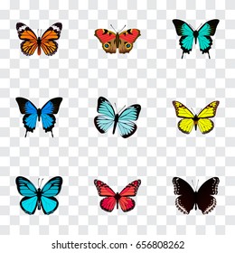 Realistic Copper, Azure Peacock, Lexias And Other Vector Elements. Set Of Butterfly Realistic Symbols Also Includes Sky, Black, Peacock Objects.