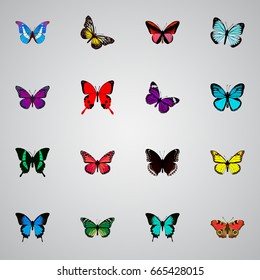 Realistic Copper, Birdwing, Archippus And Other Vector Elements. Set Of Beauty Realistic Symbols Also Includes Beautiful, Green, Hairstreak Objects.