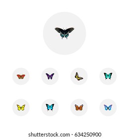 Realistic Copper, Bluewing, American Painted Lady And Other Vector Elements. Set Of Beautiful Realistic Symbols Also Includes Moth, Beauty, Monarch Objects.