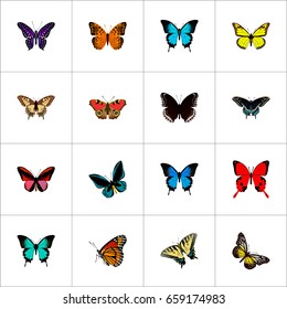 Realistic Copper, Callicore Cynosura, Papilio Ulysses And Other Vector Elements. Set Of Moth Realistic Symbols Also Includes Hairstreak, Monarch, Cynosura Objects.