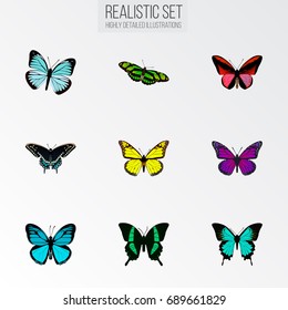 Realistic Copper, Green Peacock, Sky Animal And Other Vector Elements. Set Of Beauty Realistic Symbols Also Includes Violet, Yellow, Butterfly Objects.