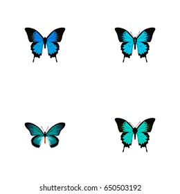Realistic Copper, Papilio Ulysses, Common Blue And Other Vector Elements. Set Of Butterfly Realistic Symbols Also Includes Cypris, Hairstreak, Butterfly Objects.